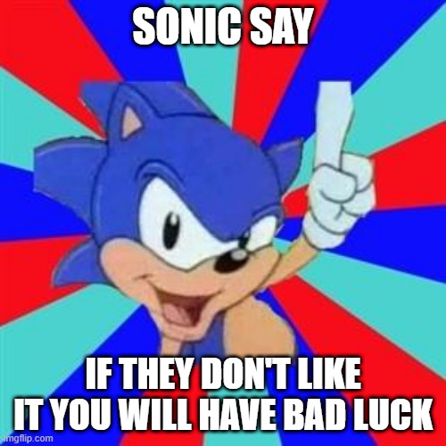 Sonic sez | SONIC SAY; IF THEY DON'T LIKE IT YOU WILL HAVE BAD LUCK | image tagged in sonic sez | made w/ Imgflip meme maker