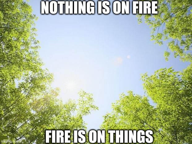 sunshine trees | NOTHING IS ON FIRE; FIRE IS ON THINGS | image tagged in sunshine trees | made w/ Imgflip meme maker