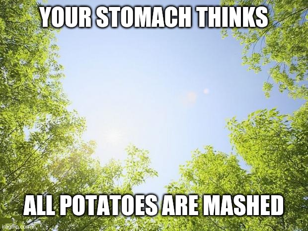 sunshine trees | YOUR STOMACH THINKS; ALL POTATOES ARE MASHED | image tagged in sunshine trees | made w/ Imgflip meme maker