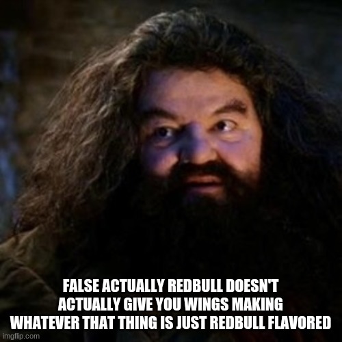 You're a wizard harry | FALSE ACTUALLY REDBULL DOESN'T ACTUALLY GIVE YOU WINGS MAKING WHATEVER THAT THING IS JUST REDBULL FLAVORED | image tagged in you're a wizard harry | made w/ Imgflip meme maker