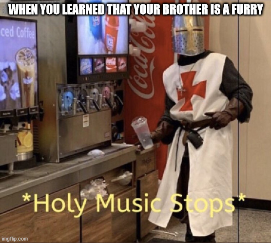 Holy music stops | WHEN YOU LEARNED THAT YOUR BROTHER IS A FURRY | image tagged in holy music stops | made w/ Imgflip meme maker