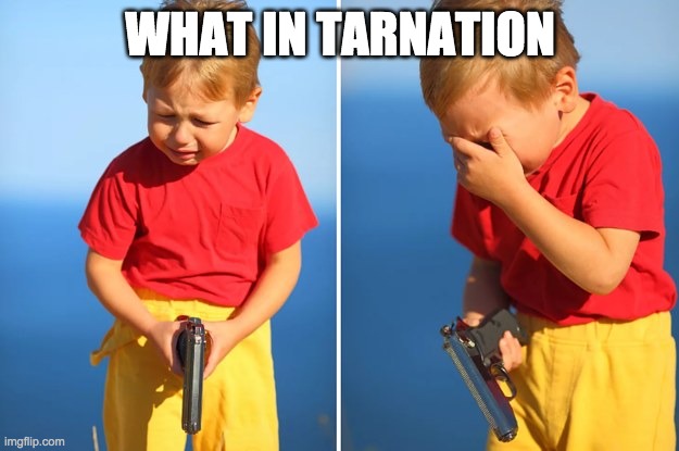 Crying kid with gun | WHAT IN TARNATION | image tagged in crying kid with gun | made w/ Imgflip meme maker