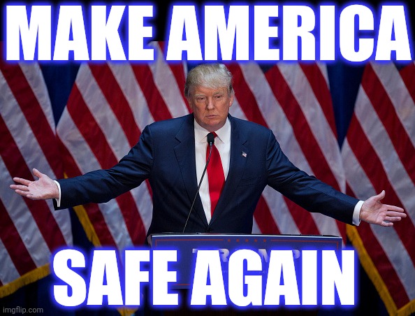 Donald Trump | MAKE AMERICA SAFE AGAIN | image tagged in donald trump | made w/ Imgflip meme maker