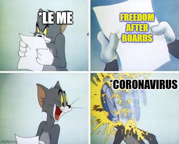 Tom and Jerry custard pie | *LE ME; FREEDOM AFTER BOARDS; *CORONAVIRUS | image tagged in tom and jerry custard pie | made w/ Imgflip meme maker