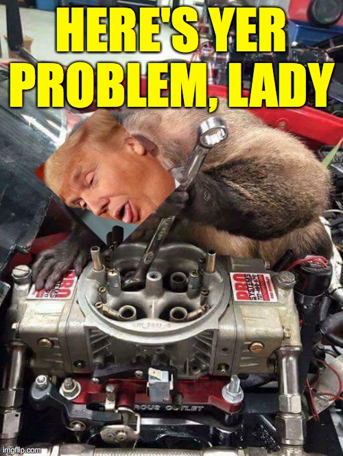 Monkey mechanic | HERE'S YER PROBLEM, LADY | image tagged in monkey mechanic | made w/ Imgflip meme maker