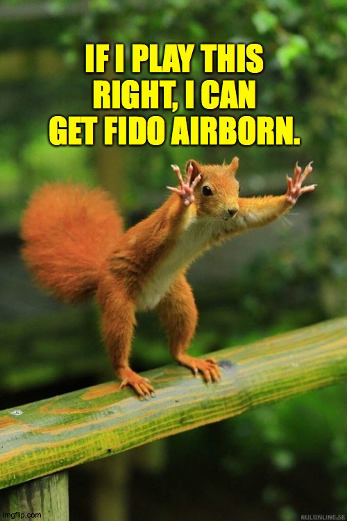 Wait a Minute Squirrel | IF I PLAY THIS RIGHT, I CAN GET FIDO AIRBORN. | image tagged in wait a minute squirrel | made w/ Imgflip meme maker