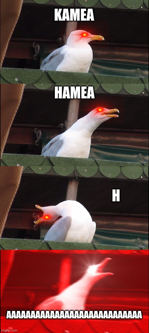 Inhaling Seagull Meme | KAMEA; HAMEA; H; AAAAAAAAAAAAAAAAAAAAAAAAAAAA | image tagged in memes,inhaling seagull | made w/ Imgflip meme maker