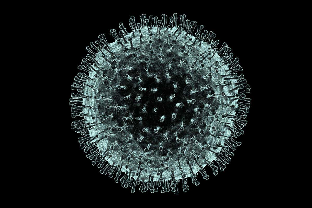 Coronavirus Blank Meme Template