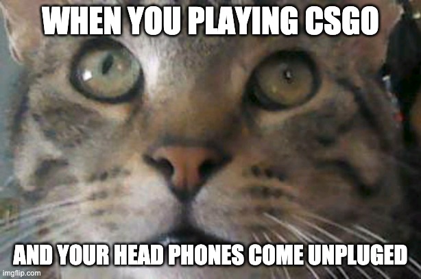 Scardy Kitten | WHEN YOU PLAYING CSGO; AND YOUR HEAD PHONES COME UNPLUGED | image tagged in scardy kitten | made w/ Imgflip meme maker