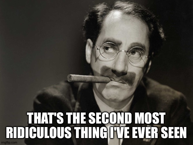 Thoughtful Groucho | THAT'S THE SECOND MOST RIDICULOUS THING I'VE EVER SEEN | image tagged in thoughtful groucho | made w/ Imgflip meme maker