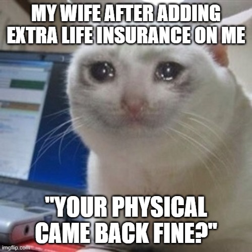 Crying cat | MY WIFE AFTER ADDING EXTRA LIFE INSURANCE ON ME; "YOUR PHYSICAL CAME BACK FINE?" | image tagged in crying cat | made w/ Imgflip meme maker