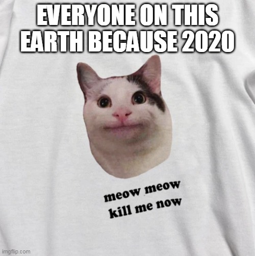 EVERYONE ON THIS EARTH BECAUSE 2020 | made w/ Imgflip meme maker