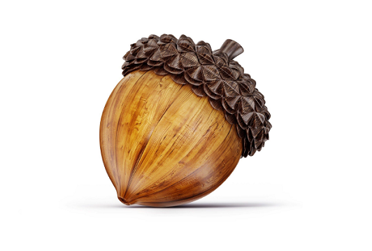 Acorn 1 Blank Meme Template