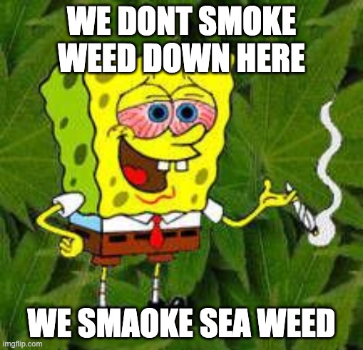 Weed | WE DONT SMOKE WEED DOWN HERE; WE SMAOKE SEA WEED | image tagged in weed | made w/ Imgflip meme maker