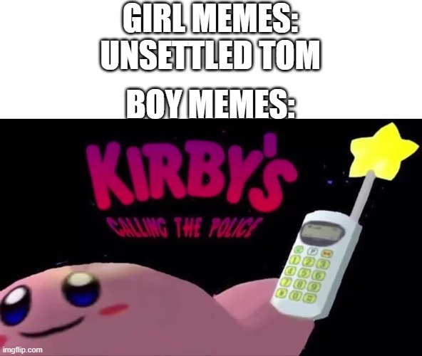 Bad Move, Fellas | GIRL MEMES: UNSETTLED TOM; BOY MEMES: | image tagged in kirby and police team-up | made w/ Imgflip meme maker