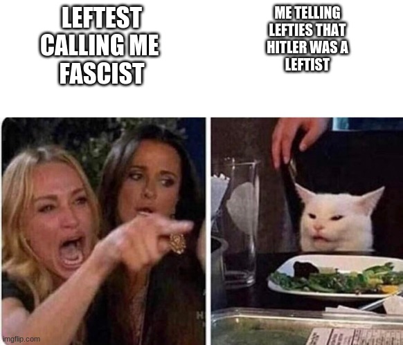 Lady screams at cat | ME TELLING
LEFTIES THAT
HITLER WAS A
LEFTIST; LEFTEST
CALLING ME 
FASCIST | image tagged in lady screams at cat | made w/ Imgflip meme maker