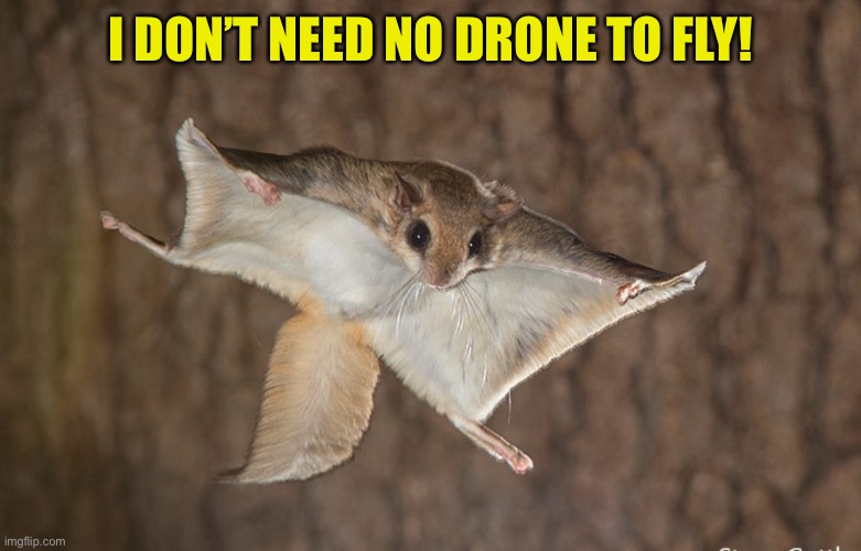 I DON’T NEED NO DRONE TO FLY! | made w/ Imgflip meme maker