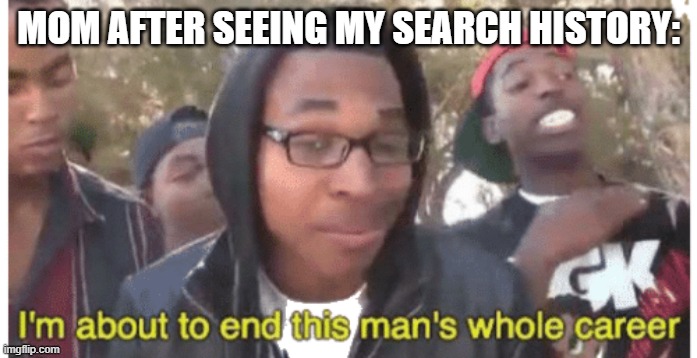 i'm gonna end this man's whole career | MOM AFTER SEEING MY SEARCH HISTORY: | image tagged in i'm gonna end this man's whole career | made w/ Imgflip meme maker