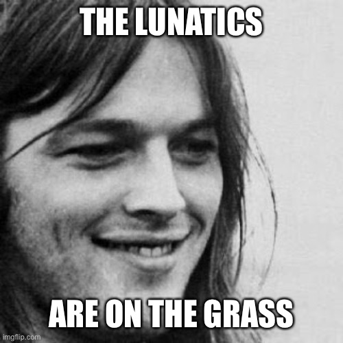 THE LUNATICS ARE ON THE GRASS | made w/ Imgflip meme maker