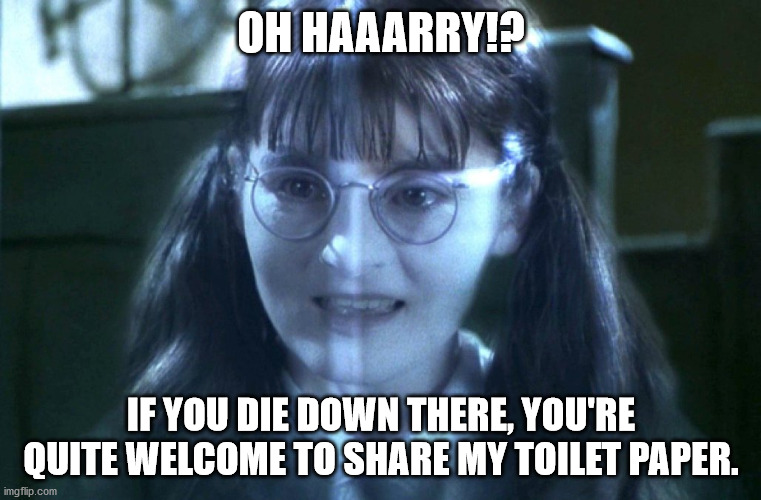 Moaning Myrtle | OH HAAARRY!? IF YOU DIE DOWN THERE, YOU'RE QUITE WELCOME TO SHARE MY TOILET PAPER. | image tagged in moaning myrtle | made w/ Imgflip meme maker