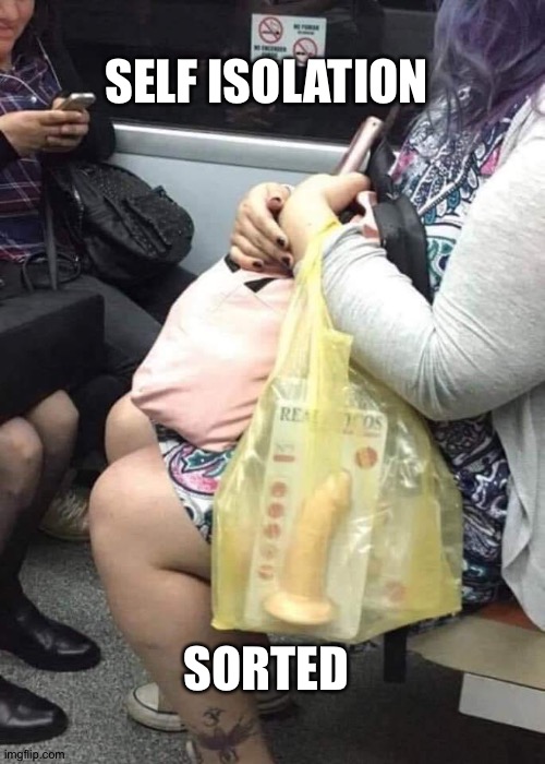 Self isolation | SELF ISOLATION; SORTED | image tagged in coronavirus | made w/ Imgflip meme maker