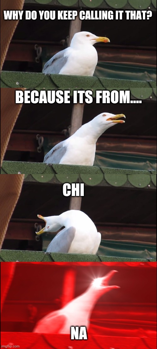 Inhaling Seagull Meme | WHY DO YOU KEEP CALLING IT THAT? BECAUSE ITS FROM.... CHI; NA | image tagged in memes,inhaling seagull,coronavirus,covid-19,covid19,pandemic | made w/ Imgflip meme maker