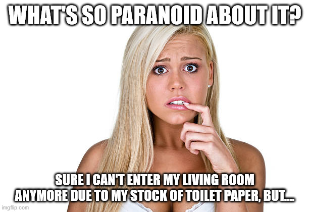 Dumb Blonde | WHAT'S SO PARANOID ABOUT IT? SURE I CAN'T ENTER MY LIVING ROOM ANYMORE DUE TO MY STOCK OF TOILET PAPER, BUT.... | image tagged in dumb blonde | made w/ Imgflip meme maker