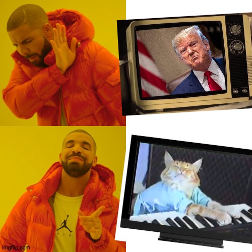 Roots  ( : | image tagged in memes,drake hotline bling,keyboard cat,sour puss | made w/ Imgflip meme maker