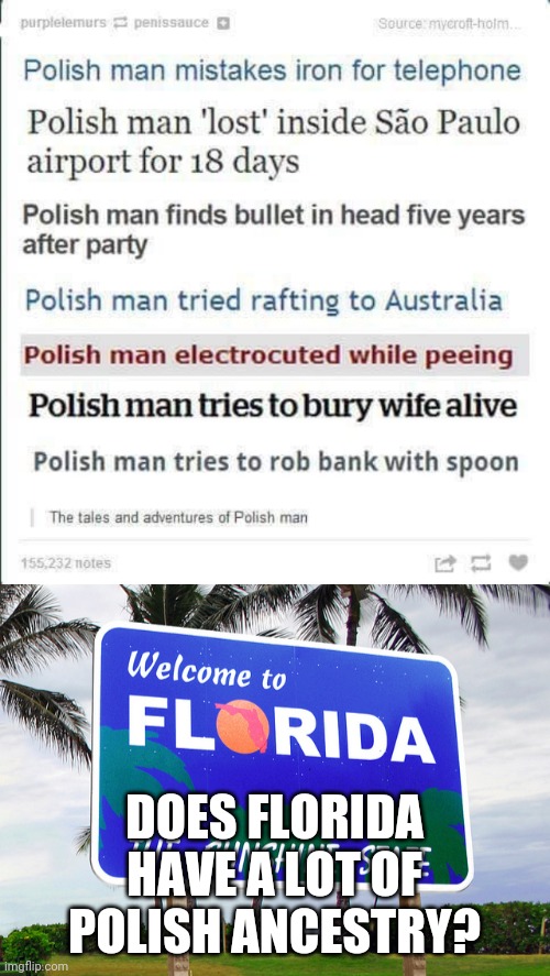I mean, there ARE similarities... | DOES FLORIDA HAVE A LOT OF POLISH ANCESTRY? | image tagged in florida man,memes,polish,poland | made w/ Imgflip meme maker