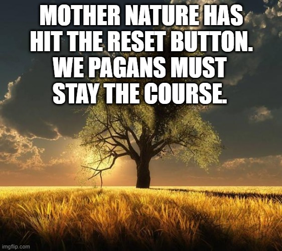 Tree of Life | MOTHER NATURE HAS HIT THE RESET BUTTON. WE PAGANS MUST STAY THE COURSE. | image tagged in tree of life | made w/ Imgflip meme maker