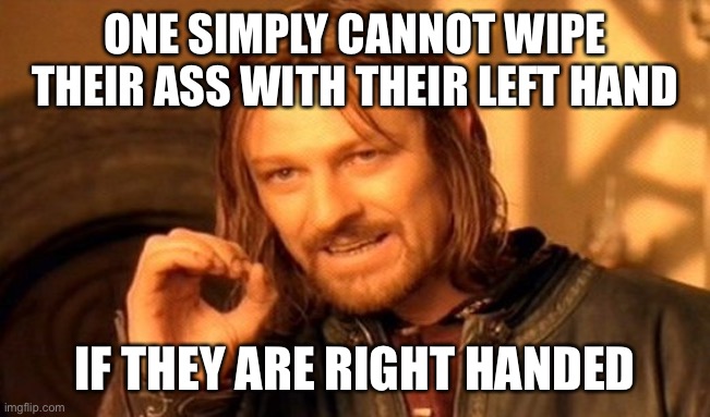 One Does Not Simply | ONE SIMPLY CANNOT WIPE THEIR ASS WITH THEIR LEFT HAND; IF THEY ARE RIGHT HANDED | image tagged in memes,one does not simply | made w/ Imgflip meme maker