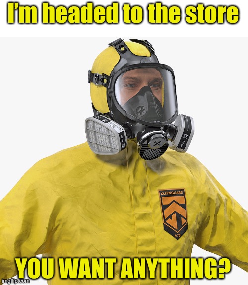 The new norm | I’m headed to the store; YOU WANT ANYTHING? | image tagged in covid-19,corona virus,gas mask | made w/ Imgflip meme maker