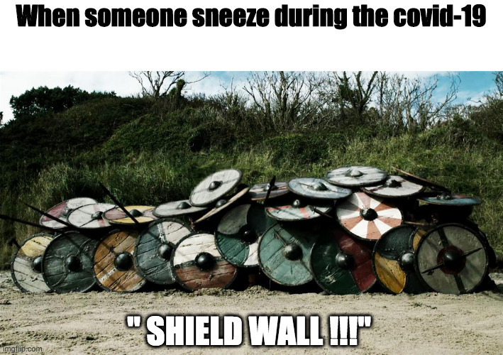 vikings | When someone sneeze during the covid-19; " SHIELD WALL !!!" | image tagged in vikings | made w/ Imgflip meme maker