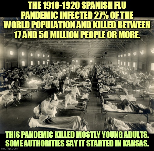 675,000 Americans died in three separate waves. The big lesson: don't give up on social distancing early. You may need it later. | THE 1918-1920 SPANISH FLU PANDEMIC INFECTED 27% OF THE WORLD POPULATION AND KILLED BETWEEN 17 AND 50 MILLION PEOPLE OR MORE. THIS PANDEMIC KILLED MOSTLY YOUNG ADULTS. SOME AUTHORITIES SAY IT STARTED IN KANSAS. | image tagged in the 1918-1920 influenza pandemic in kansas,flu,coronavirus,covid-19,pandemic,kill | made w/ Imgflip meme maker