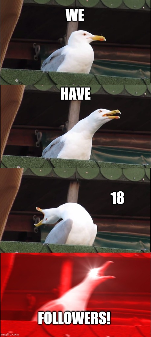 Inhaling Seagull | WE; HAVE; 18; FOLLOWERS! | image tagged in memes,inhaling seagull | made w/ Imgflip meme maker
