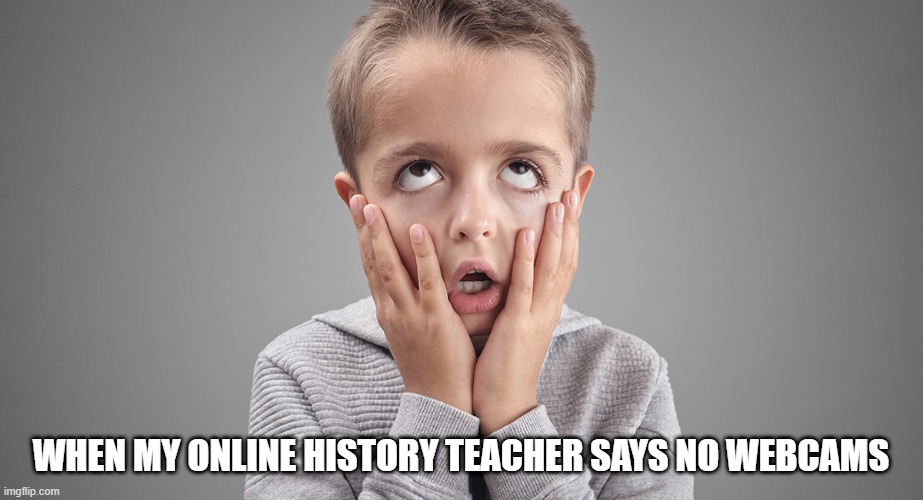 WHEN MY ONLINE HISTORY TEACHER SAYS NO WEBCAMS | image tagged in online school,no webcams,school | made w/ Imgflip meme maker