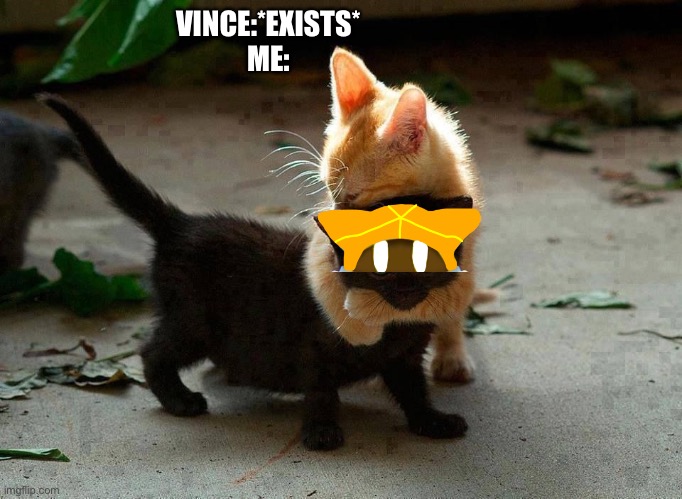 i lov him | VINCE:*EXISTS*
ME: | image tagged in kitten hug | made w/ Imgflip meme maker