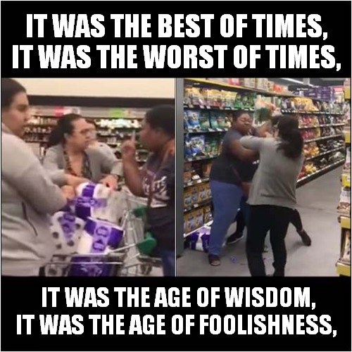 What Is Wrong With People ? | IT WAS THE BEST OF TIMES, IT WAS THE WORST OF TIMES, IT WAS THE AGE OF WISDOM, IT WAS THE AGE OF FOOLISHNESS, | image tagged in fun,corona virus,shopping,fighting | made w/ Imgflip meme maker