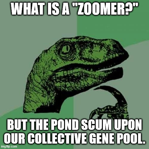 Zoomers: "Ok boomer is a L(eg)IT response." Also zoomers: "Toilet seats and Tide pods are food." | WHAT IS A "ZOOMER?"; BUT THE POND SCUM UPON OUR COLLECTIVE GENE POOL. | image tagged in memes,philosoraptor | made w/ Imgflip meme maker