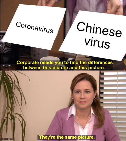 No. YOU are the racist. | Coronavirus; Chinese virus | image tagged in memes,they're the same picture | made w/ Imgflip meme maker
