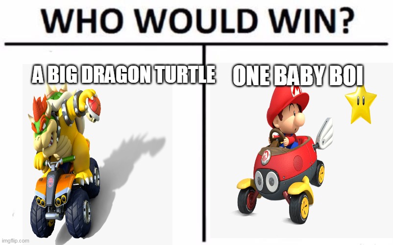 Who Would Win? | A BIG DRAGON TURTLE; ONE BABY BOI | image tagged in memes,who would win | made w/ Imgflip meme maker