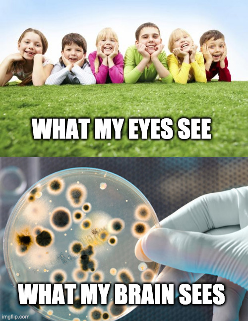 WHAT MY EYES SEE; WHAT MY BRAIN SEES | image tagged in children playing,SubSimGPT2Interactive | made w/ Imgflip meme maker