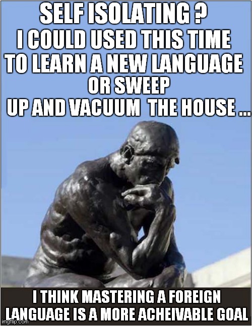 Self Isolation Dilemma ? | SELF ISOLATING ? I COULD USED THIS TIME TO LEARN A NEW LANGUAGE; OR SWEEP UP AND VACUUM  THE HOUSE …; I THINK MASTERING A FOREIGN LANGUAGE IS A MORE ACHEIVABLE GOAL | image tagged in fun,corona virus,self isolation,the thinker | made w/ Imgflip meme maker