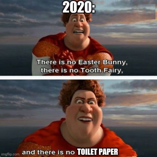 TIGHTEN MEGAMIND "THERE IS NO EASTER BUNNY" | 2020:; TOILET PAPER | image tagged in tighten megamind there is no easter bunny,toilet paper,2020,coronavirus,memes | made w/ Imgflip meme maker