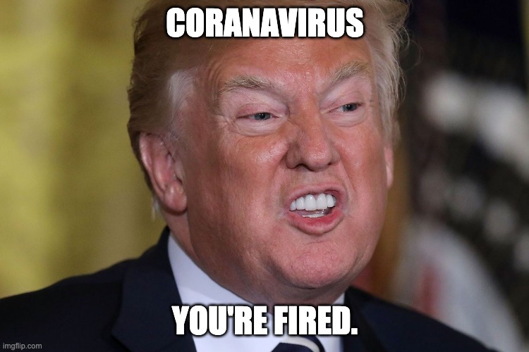 CORANAVIRUS; YOU'RE FIRED. | image tagged in donald trump,coronavirus,you're fired | made w/ Imgflip meme maker