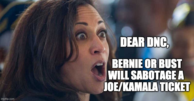 Sabotage | BERNIE OR BUST WILL SABOTAGE A 
JOE/KAMALA TICKET; DEAR DNC, | image tagged in kamala harriss,bernie or bust | made w/ Imgflip meme maker