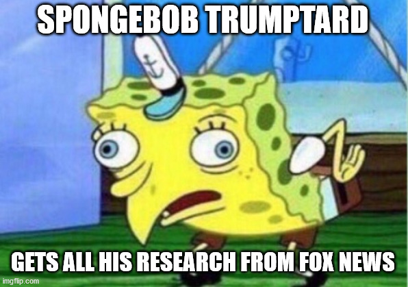 Mocking Spongebob Meme | SPONGEBOB TRUMPTARD GETS ALL HIS RESEARCH FROM FOX NEWS | image tagged in memes,mocking spongebob | made w/ Imgflip meme maker