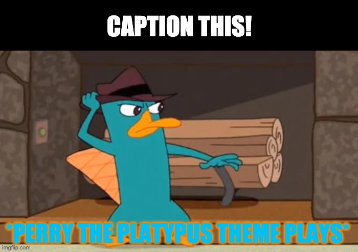 I'm doing a new series, "Caption this!". Caption the image above & i'll list the top 3 in 1 week! | CAPTION THIS! *PERRY THE PLATYPUS THEME PLAYS* | made w/ Imgflip meme maker