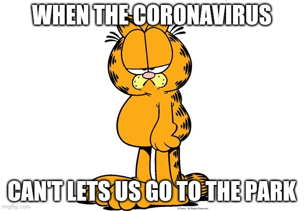 Grumpy Garfield | WHEN THE CORONAVIRUS; CAN'T LETS US GO TO THE PARK | image tagged in grumpy garfield | made w/ Imgflip meme maker