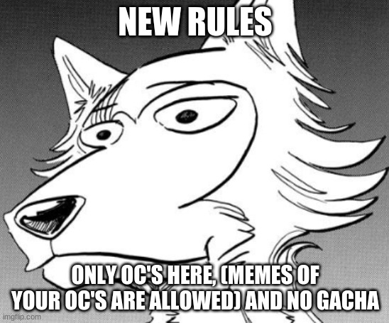 NEW RULES; ONLY OC'S HERE, (MEMES OF YOUR OC'S ARE ALLOWED) AND NO GACHA | made w/ Imgflip meme maker